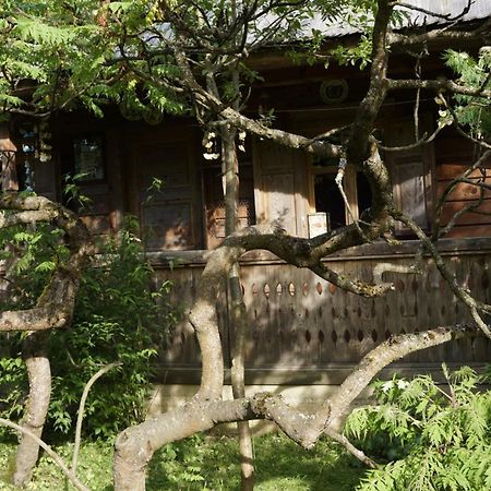 Woodenhouse Maramures Vişeu de Sus Zewnętrze zdjęcie