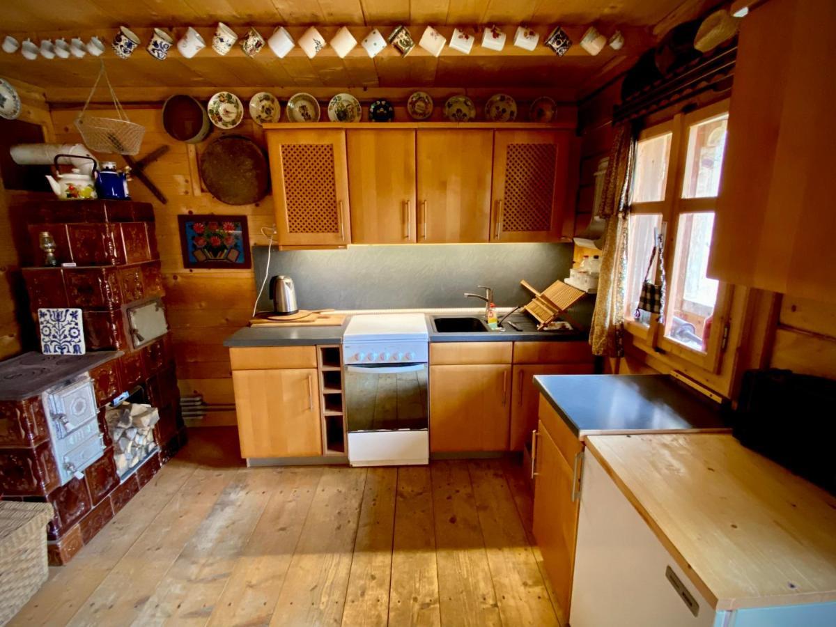 Woodenhouse Maramures Vişeu de Sus Zewnętrze zdjęcie