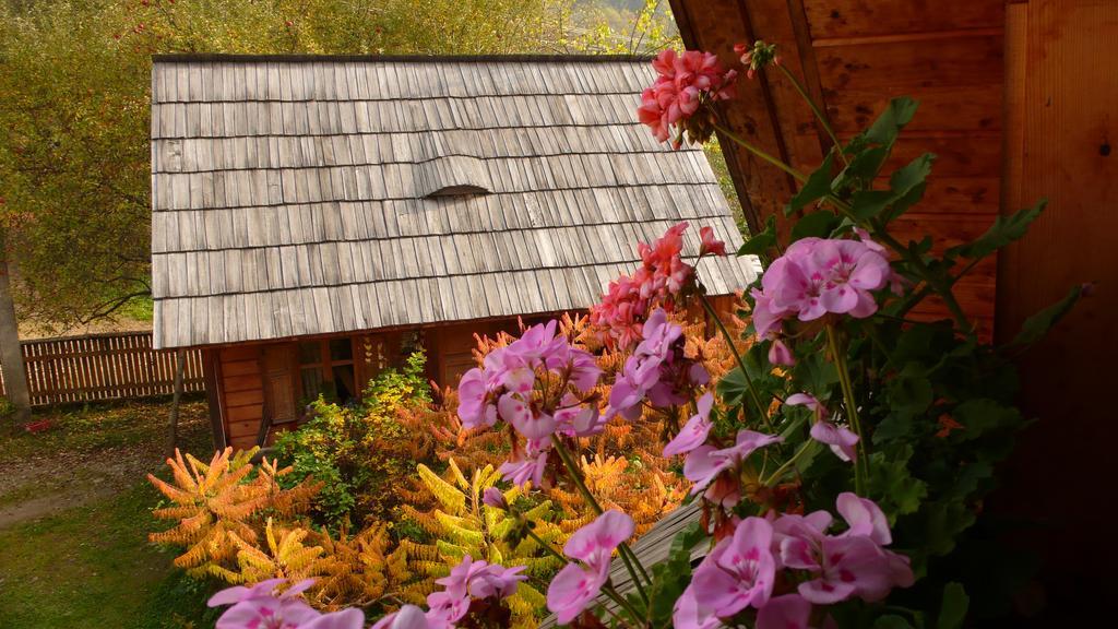 Woodenhouse Maramures Vişeu de Sus Zewnętrze zdjęcie