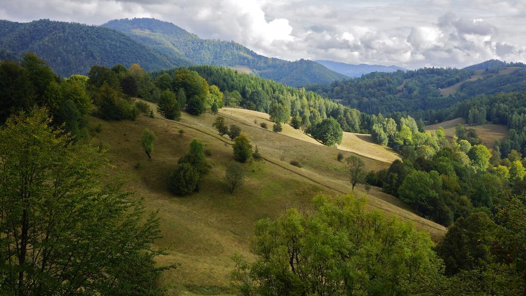 Woodenhouse Maramures Vişeu de Sus Zewnętrze zdjęcie