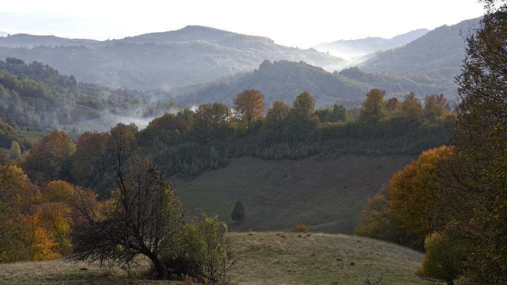 Woodenhouse Maramures Vişeu de Sus Zewnętrze zdjęcie