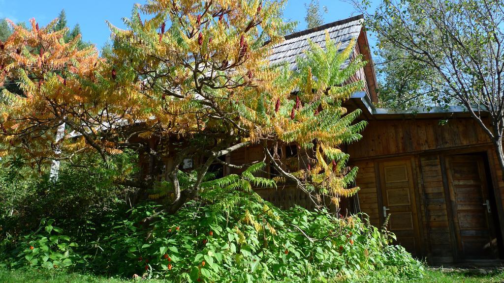 Woodenhouse Maramures Vişeu de Sus Zewnętrze zdjęcie