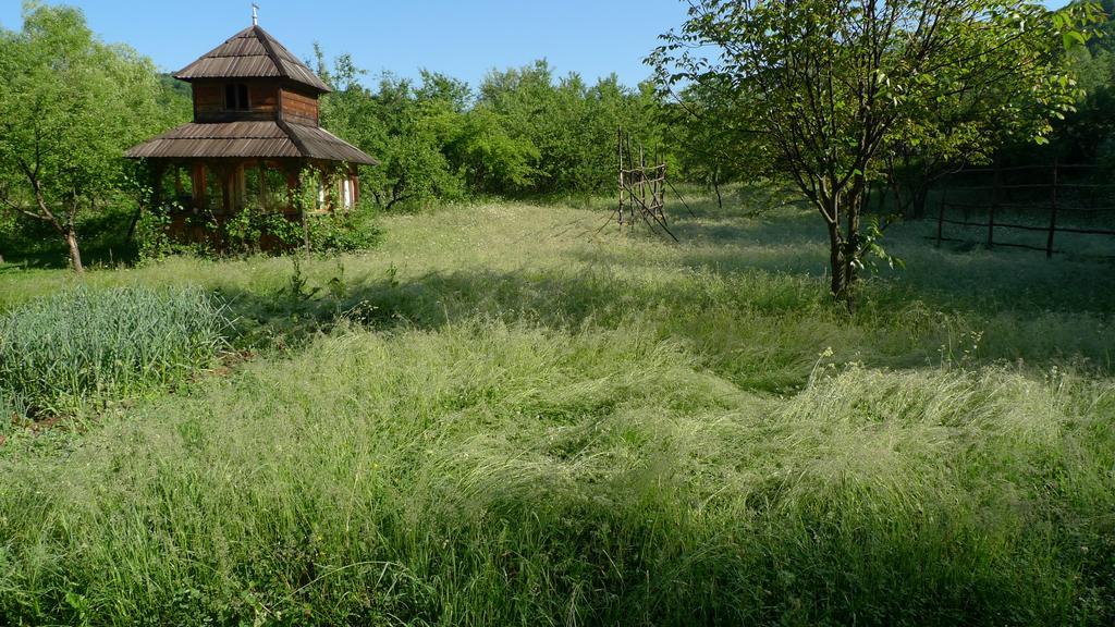 Woodenhouse Maramures Vişeu de Sus Zewnętrze zdjęcie