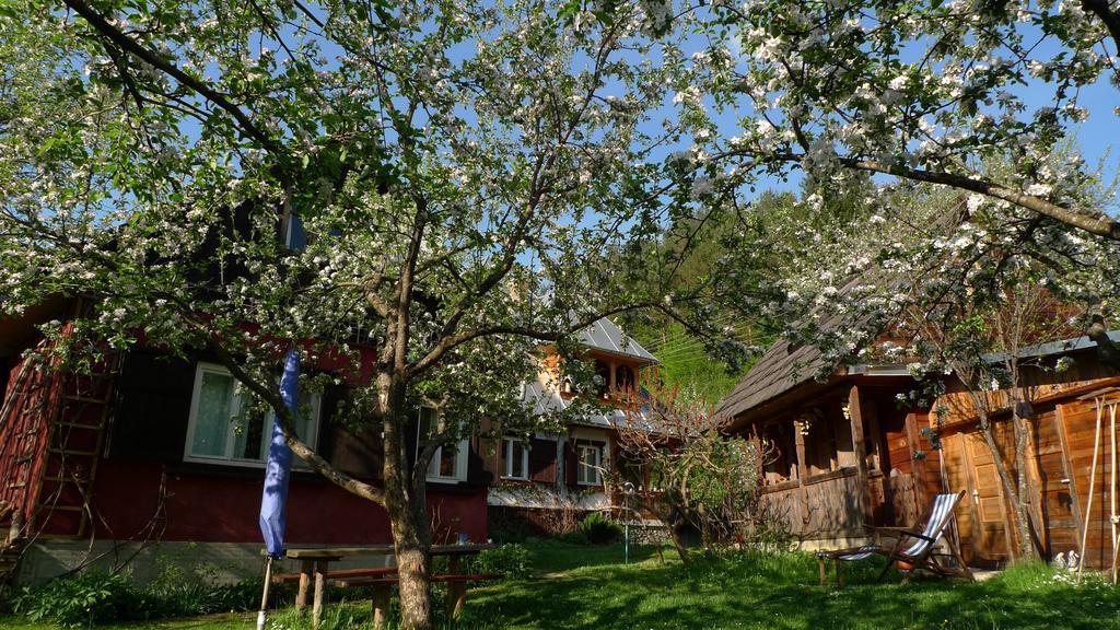 Woodenhouse Maramures Vişeu de Sus Zewnętrze zdjęcie
