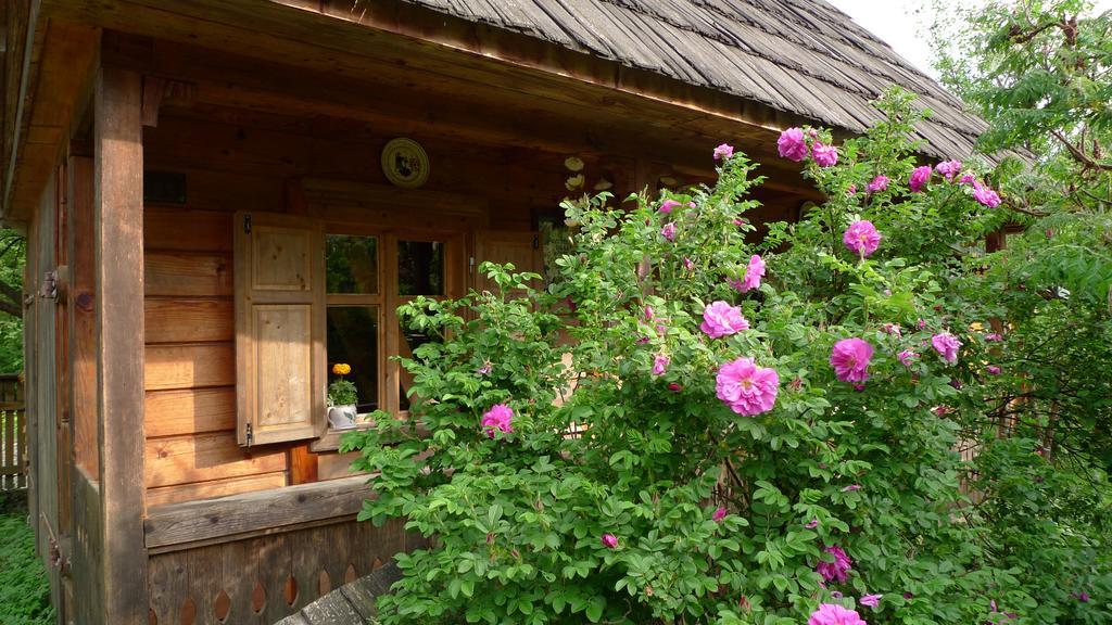Woodenhouse Maramures Vişeu de Sus Zewnętrze zdjęcie